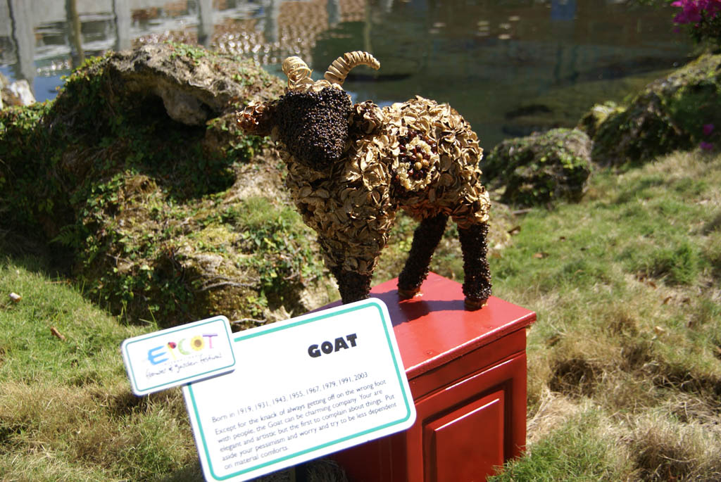 International Flower and Garden Festival