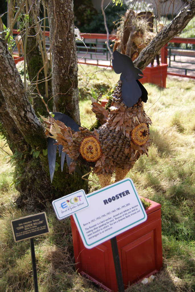 International Flower and Garden Festival