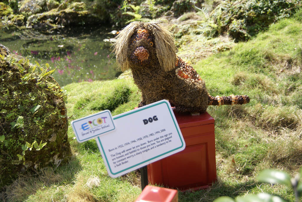 International Flower and Garden Festival