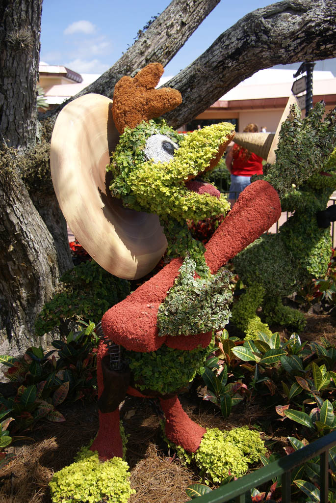 International Flower and Garden Festival
