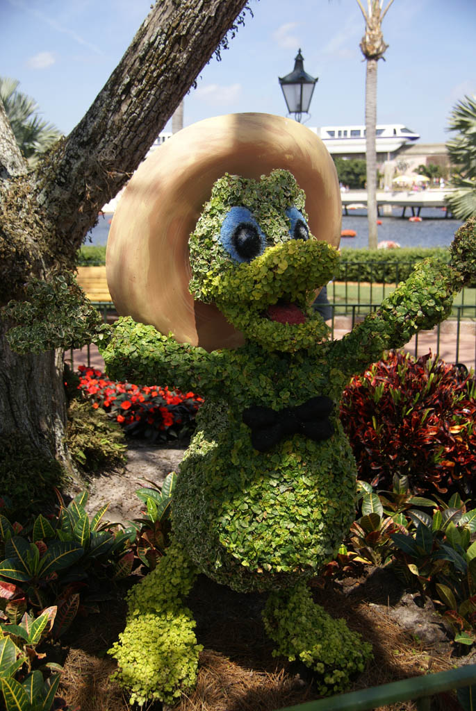 International Flower and Garden Festival