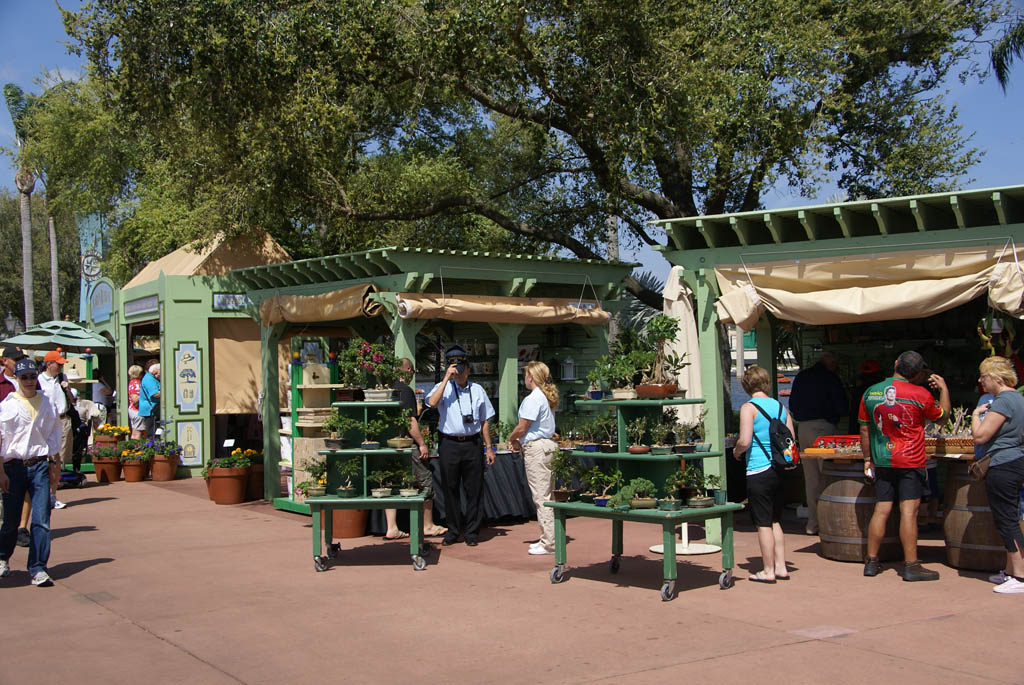 International Flower and Garden Festival