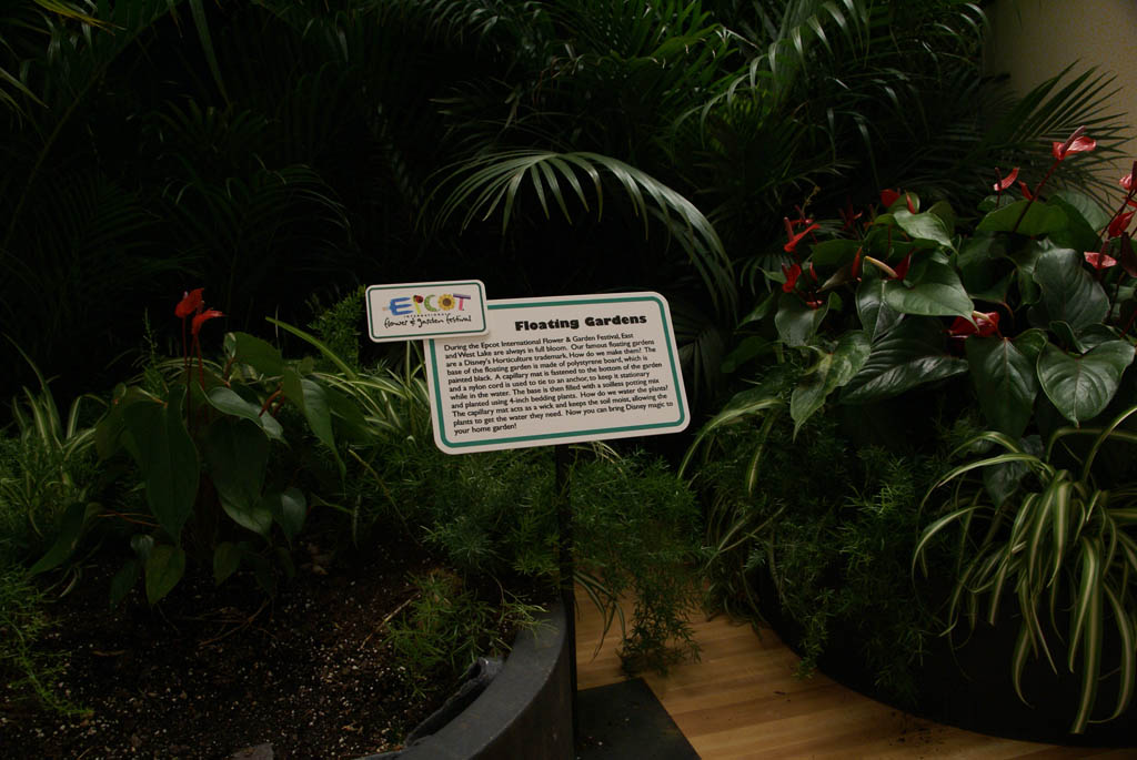 International Flower and Garden Festival