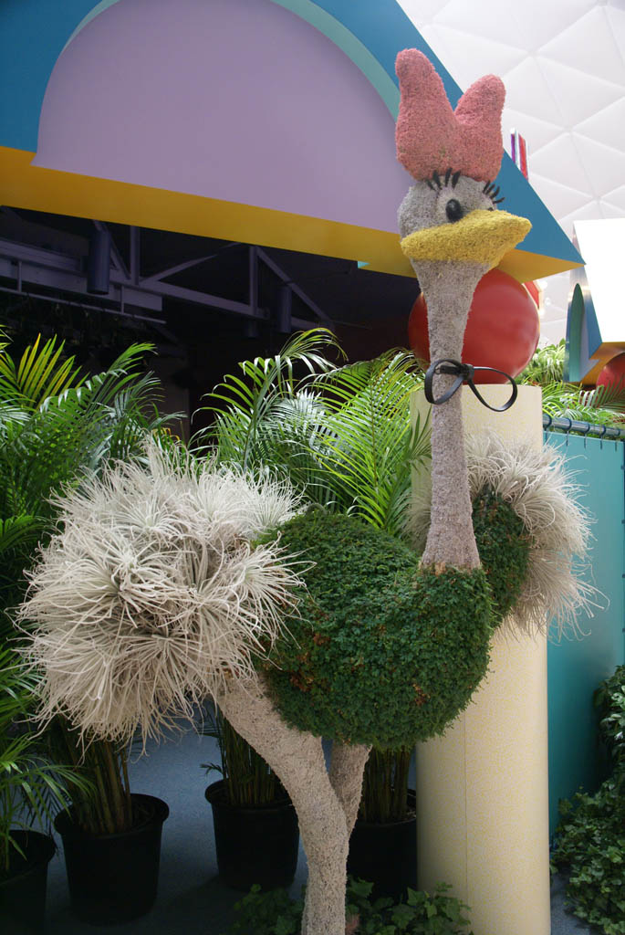 International Flower and Garden Festival