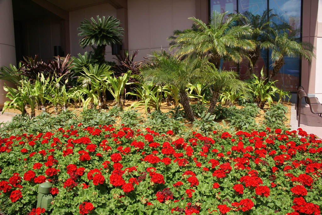 International Flower and Garden Festival