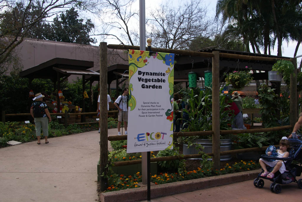 International Flower and Garden Festival