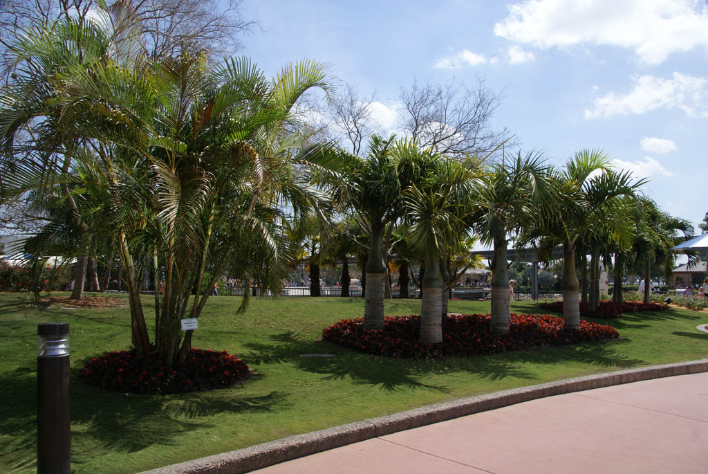 International Flower and Garden Festival