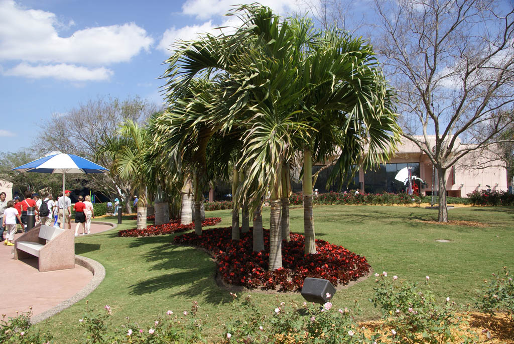 International Flower and Garden Festival
