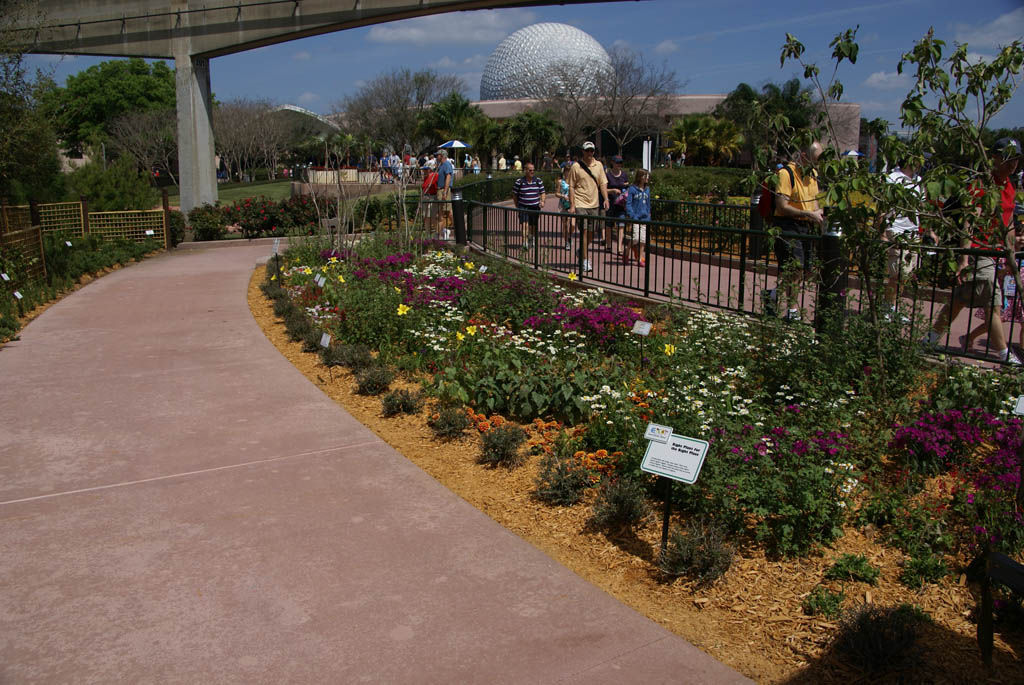 International Flower and Garden Festival