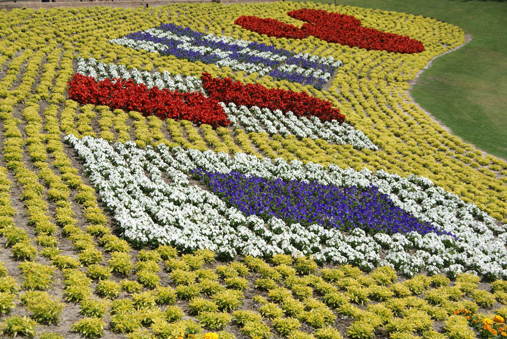 International Flower and Garden Festival