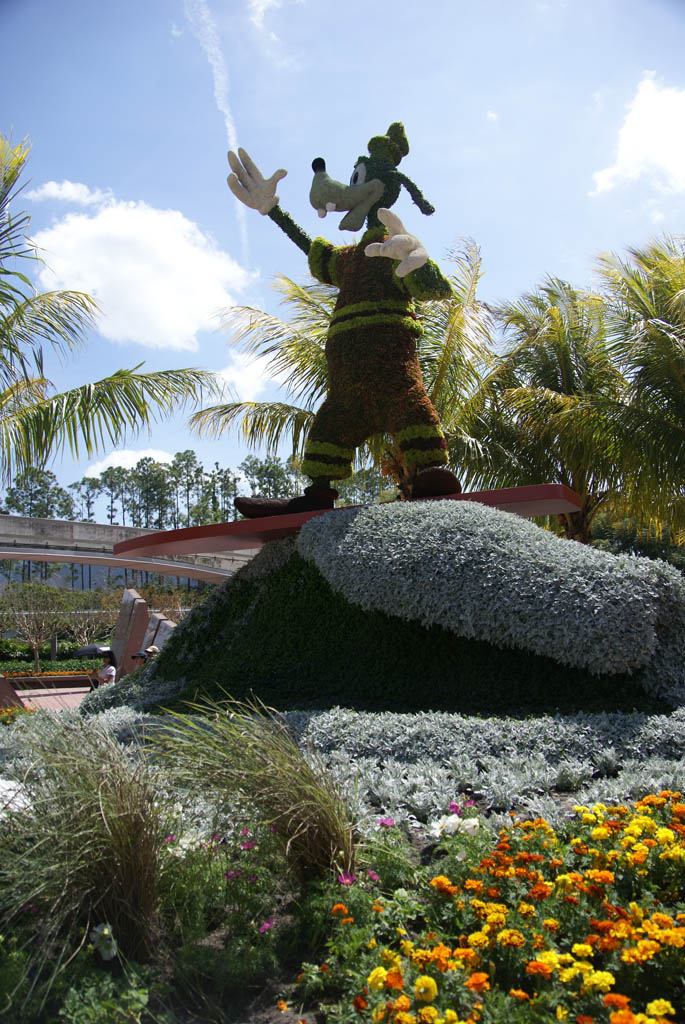 International Flower and Garden Festival