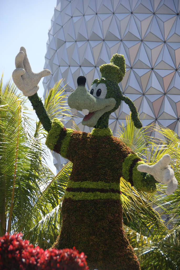 International Flower and Garden Festival