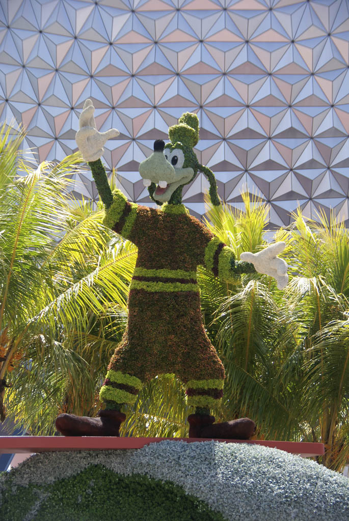International Flower and Garden Festival