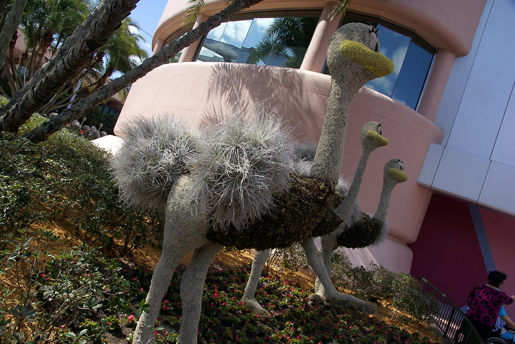 International Flower and Garden Festival
