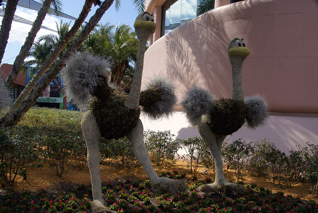 International Flower and Garden Festival