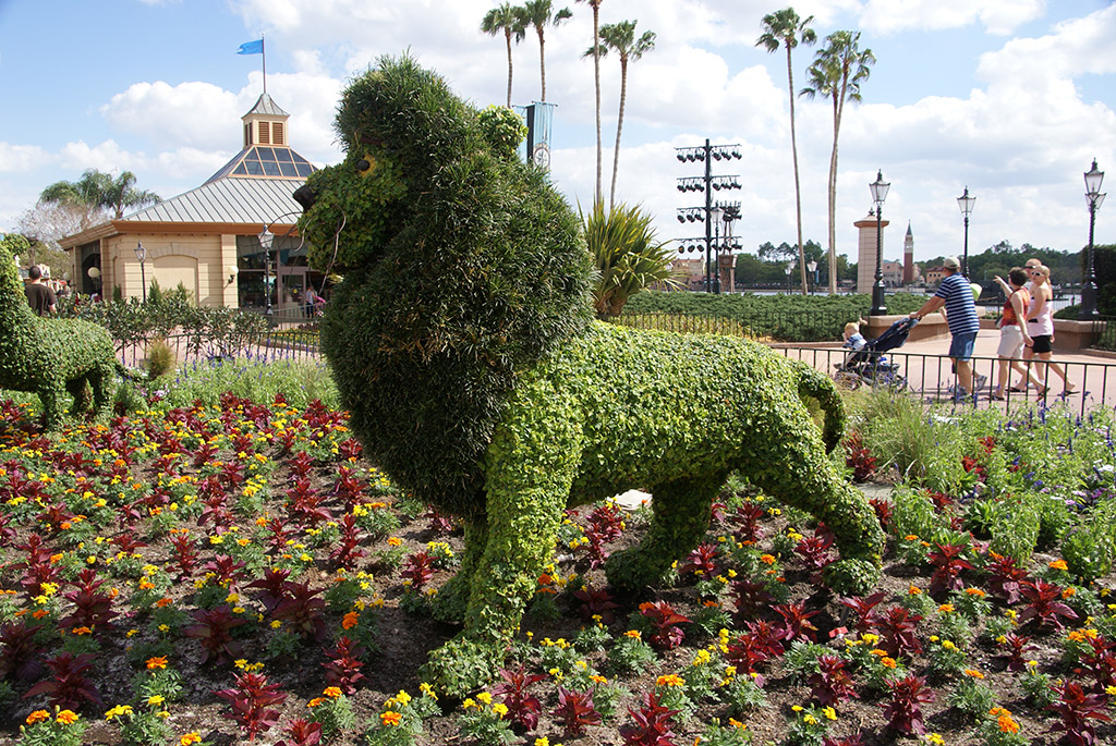 International Flower and Garden Festival