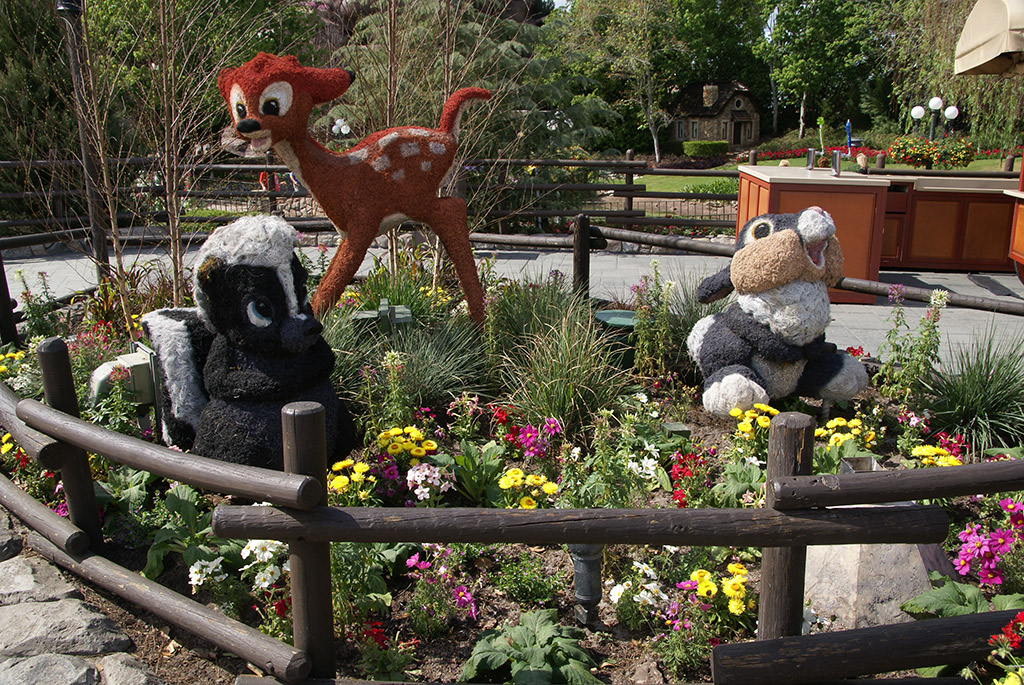 International Flower and Garden Festival