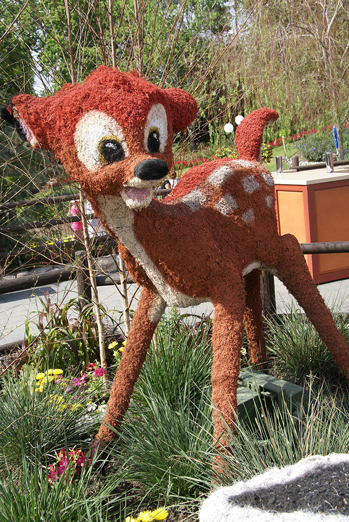 International Flower and Garden Festival