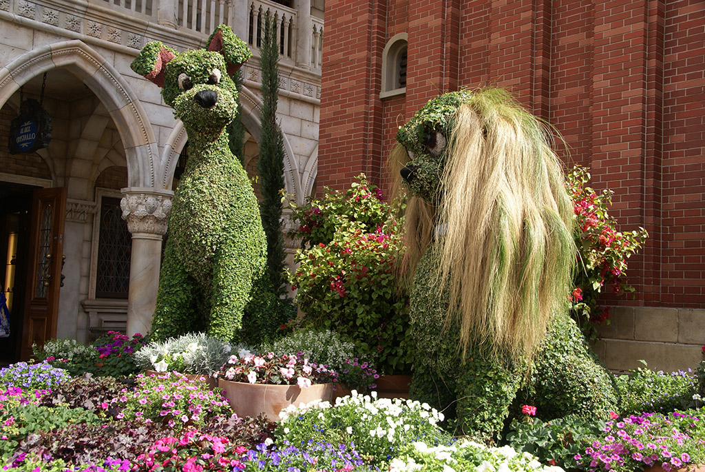 International Flower and Garden Festival