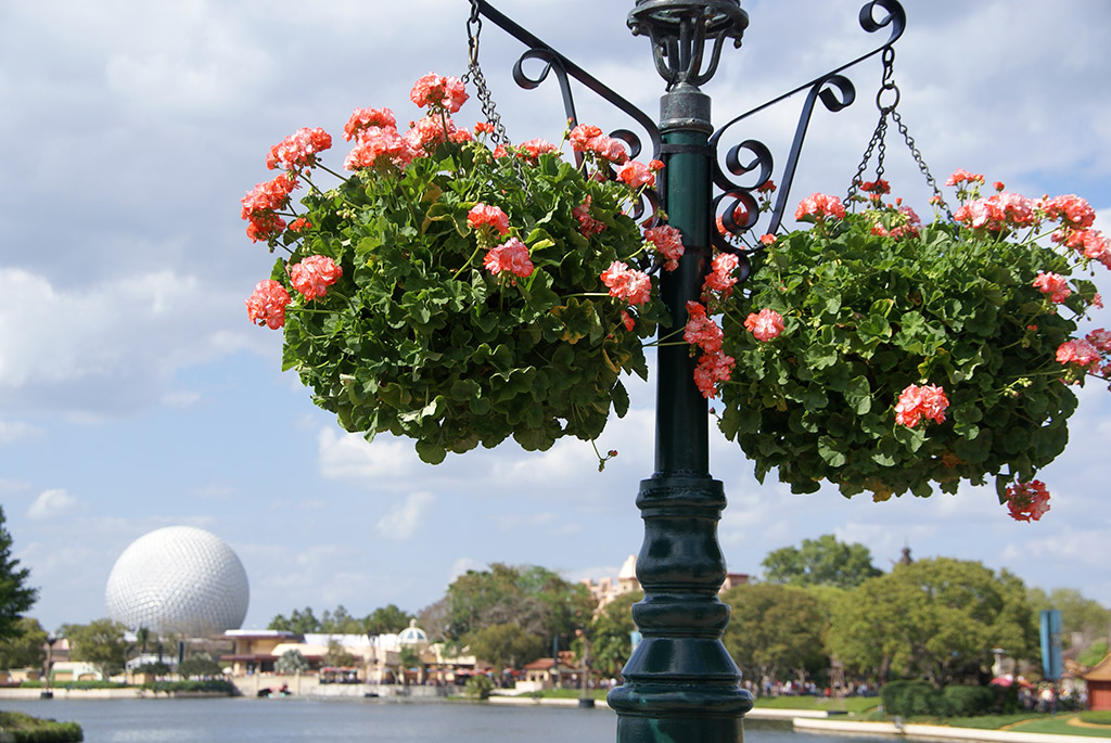 International Flower and Garden Festival