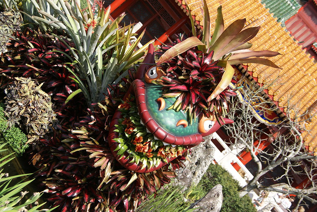 International Flower and Garden Festival