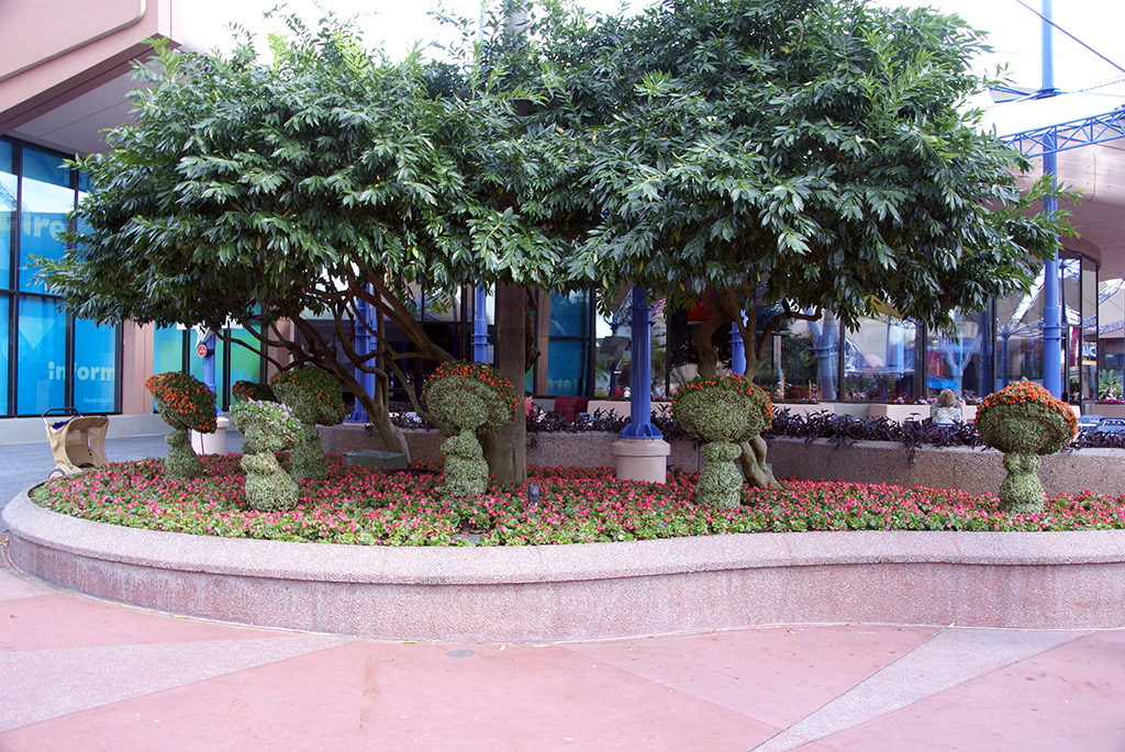 International Flower and Garden Festival