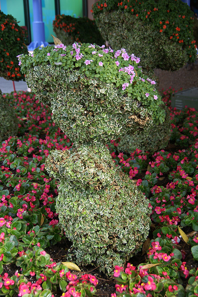 International Flower and Garden Festival