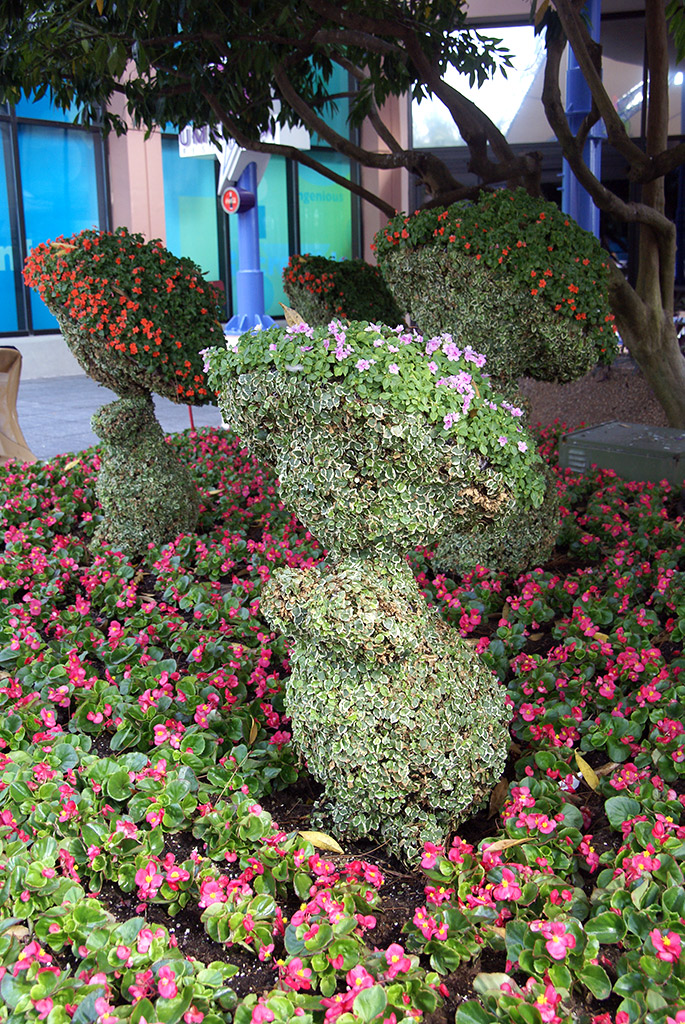 International Flower and Garden Festival