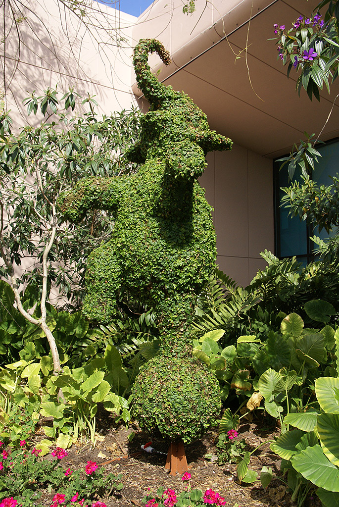 International Flower and Garden Festival