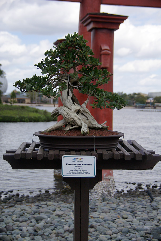 International Flower and Garden Festival