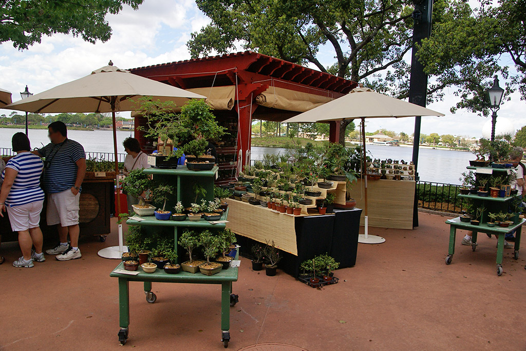 International Flower and Garden Festival