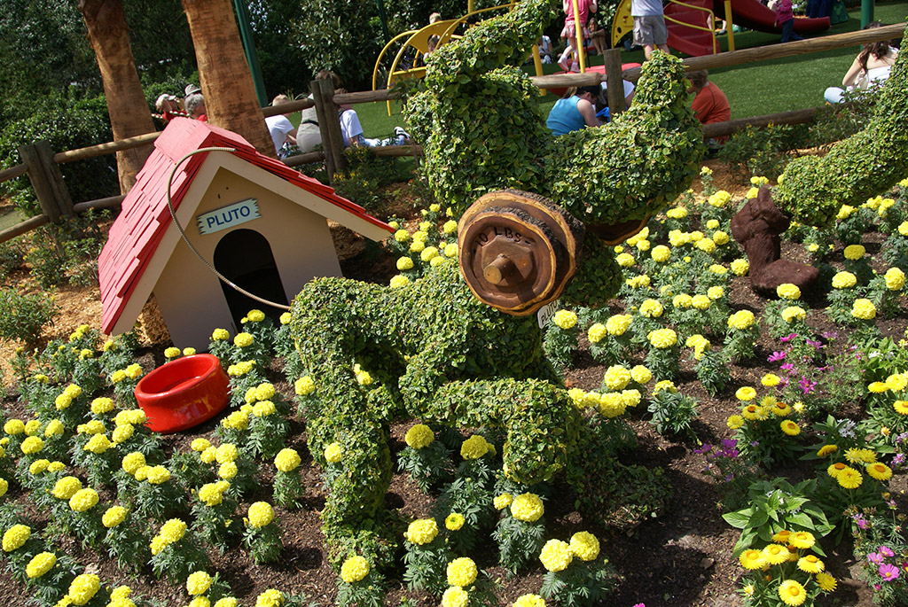 International Flower and Garden Festival