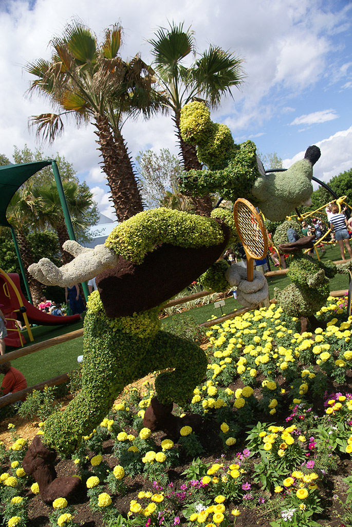 International Flower and Garden Festival