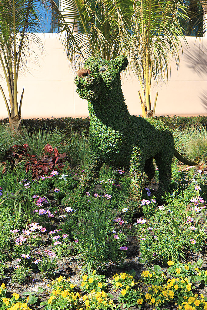 International Flower and Garden Festival
