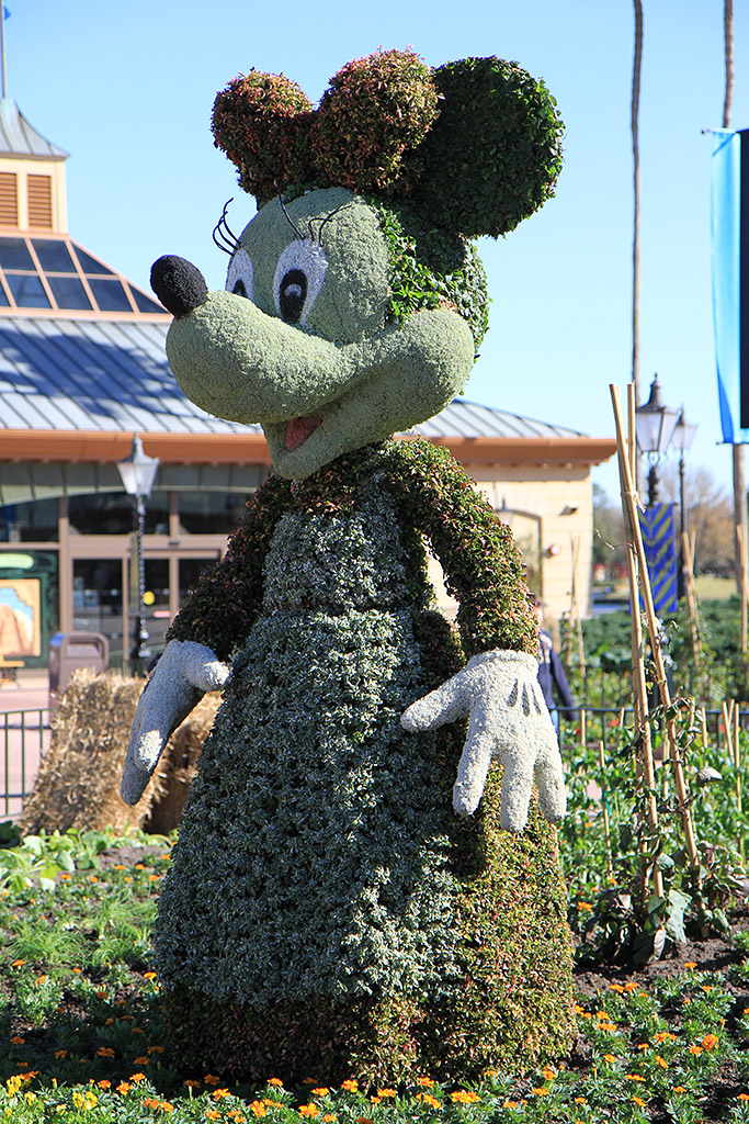 International Flower and Garden Festival