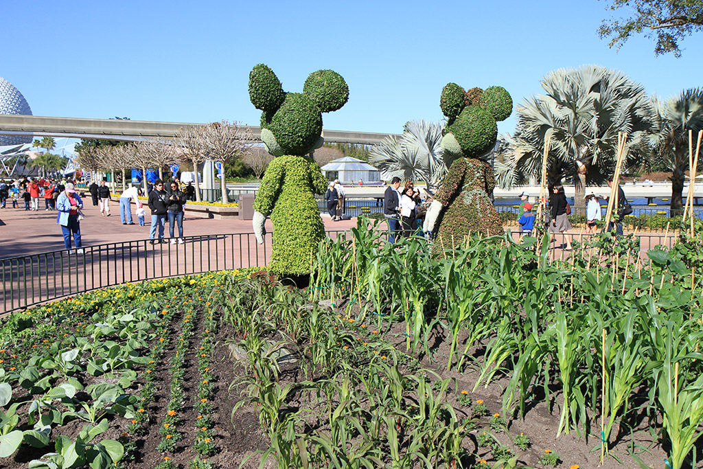 International Flower and Garden Festival
