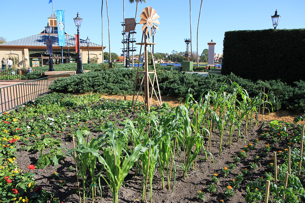 International Flower and Garden Festival