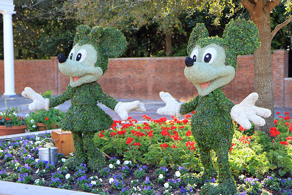 International Flower and Garden Festival