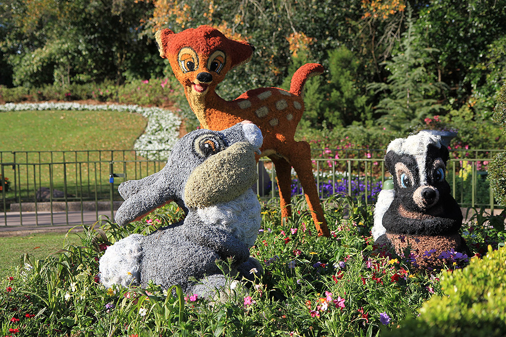 International Flower and Garden Festival