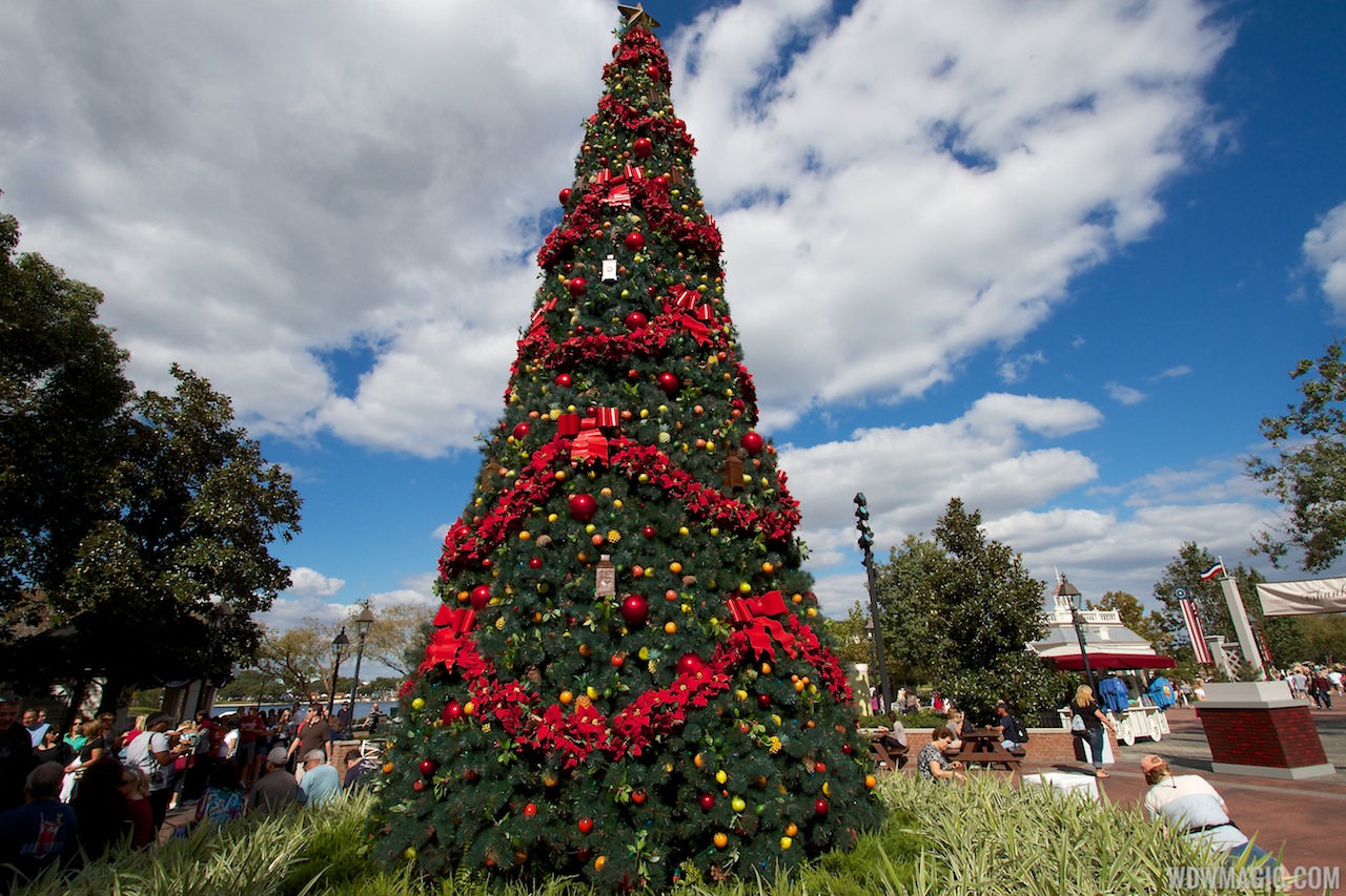 Epcot 2012 Christmas Trees