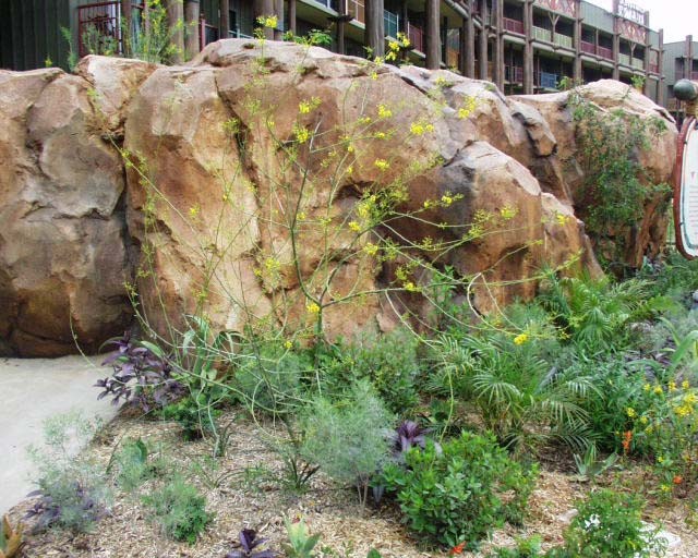 Disney's Animal Kingdom Lodge