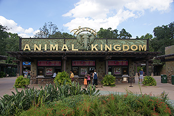Animal Restaurant