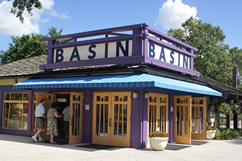 Basin