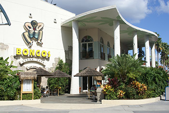 Bongo's Cuban Cafe