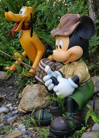 Camp Minnie-Mickey