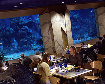 Coral Reef Restaurant