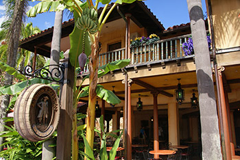 El Pirata Y el Perico Restaurante