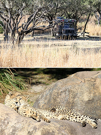 Kilimanjaro Safaris