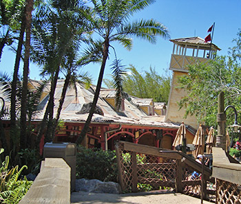 Leaning Palms