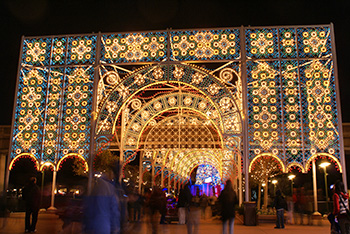 Lights of Winter